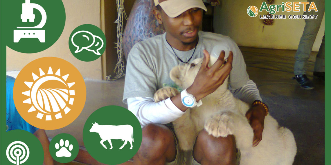 Meet Thabiso Maenetje, an animal scientist