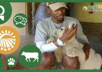 Meet Thabiso Maenetje, an animal scientist