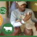 Meet Thabiso Maenetje, an animal scientist